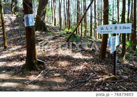 足利　猪子峠　仙人ヶ岳方面 76879805