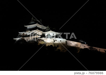 和歌山城ライトアップ010 76879986