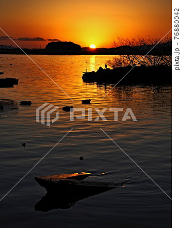 西の湖の夕景 西の湖の夕景 76880042