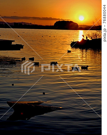 西の湖の夕景 76880044