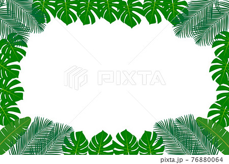 南国 モンステラ ヤシの葉 バナナの葉 フレームイラストのイラスト素材