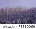 樹氷 76880069