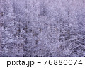 樹氷 76880074