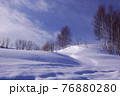北海道の雪景色 76880280