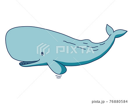 可愛的抹香鯨-插圖素材[76880584] - PIXTA圖庫