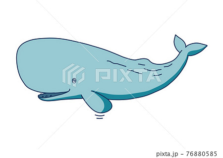 かわいいマッコウクジラのイラスト素材