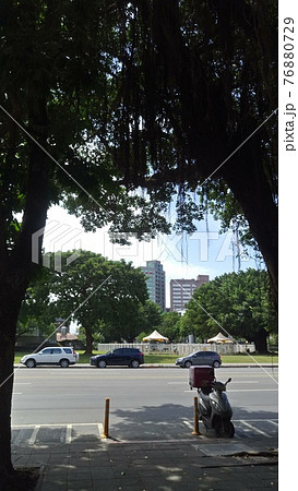 木と木の間から見た台北の街角 76880729