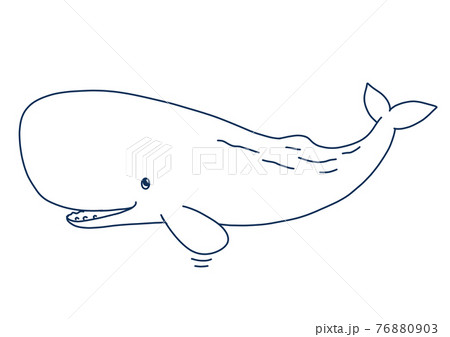 かわいいマッコウクジラのラインアートのイラスト素材