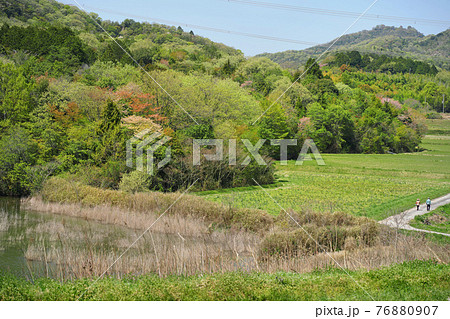 新緑の山で散策 76880907