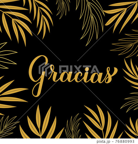 Thank you card. Calligraphy hand lettering in Spanish language. Vector template for banner, poster, label, sticker et 76880993