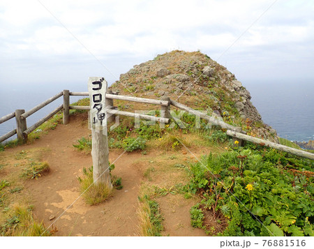 北海道 礼文島 4時間コース 岬コース 北海道 礼文島 4時間コース 岬コース 76881516
