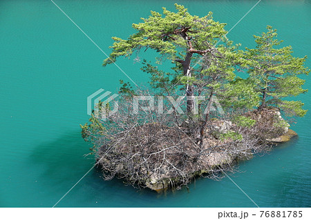 長野県東筑摩郡生坂村 山清路の島台の松 長野県東筑摩郡生坂村 山清路の島台の松 76881785