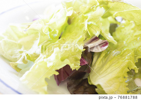 美味しい生野菜サラダ 美味しい生野菜サラダ 76881788