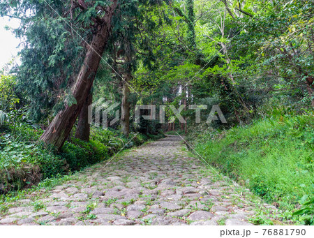 自然石を敷き並べた旧東海道金谷坂石畳 76881790