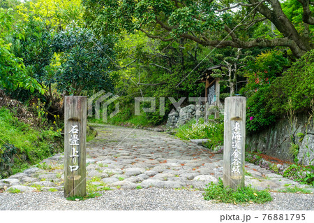 自然石を敷き並べた旧東海道金谷坂石畳（上り口） 76881795