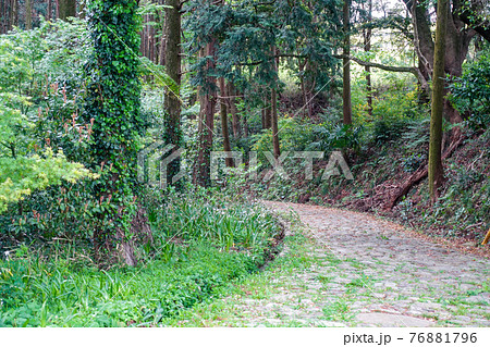 自然石を敷き並べた旧東海道金谷坂石畳 76881796