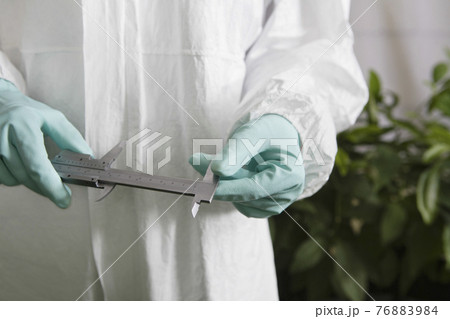 Worker In Protective Overalls Holding Calipers In Greenhouse Worker In Protective Overalls Holding Calipers In Greenhouse 76883984