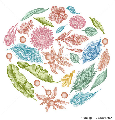 Round floral design with pastel banana palm leaves, hibiscus, solanum, bromeliad, peacock feathers Round floral design with pastel banana palm leaves, hibiscus, solanum, bromeliad, peacock feathers 76884762