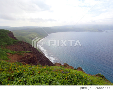 北海道 礼文島 4時間コース 岬コース 北海道 礼文島 4時間コース 岬コース 76885457
