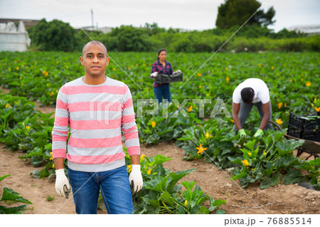 Portrait of latino hired worker on the field 76885514