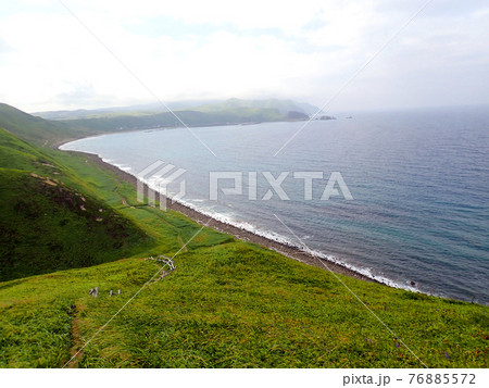 北海道 礼文島 4時間コース 岬コース 北海道 礼文島 4時間コース 岬コース 76885572