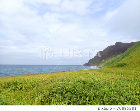 北海道 礼文島 4時間コース 岬コース 北海道 礼文島 4時間コース 岬コース 76885581
