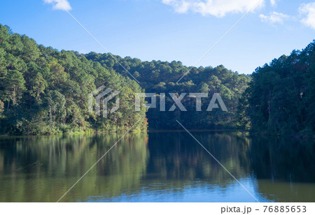 River lake with forest trees in Pang Ung reservoir, Mae Hong Son, Thailand. Tourist attraction, surrounded by green pine, mountains, reflection from water. River lake with forest trees in Pang Ung reservoir, Mae Hong Son, Thailand. Tourist attraction, surrounded by green pine, mountains, reflection from water. 76885653