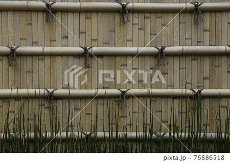 STOCK PHOTOGRAPHY IMAGES STOCK PHOTOGRAPHY IMAGES 76886518