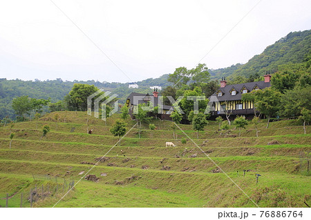 taiwanese agricultural landscape 76886764