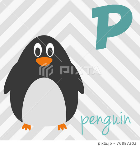 Cute cartoon zoo illustrated alphabet with funny animals: P for Penguin. English alphabet. Learn to read. Isolated Vector illustration. Cute cartoon zoo illustrated alphabet with funny animals: P for Penguin. English alphabet. Learn to read. Isolated Vector illustration. 76887202