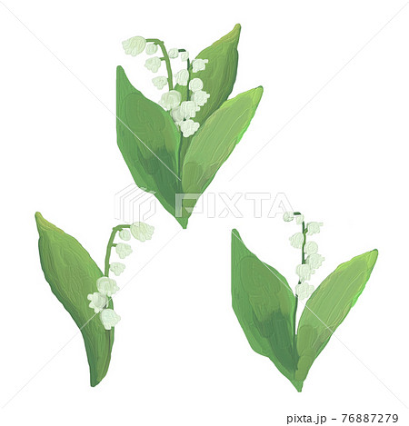 スズラン　手描き 76887279