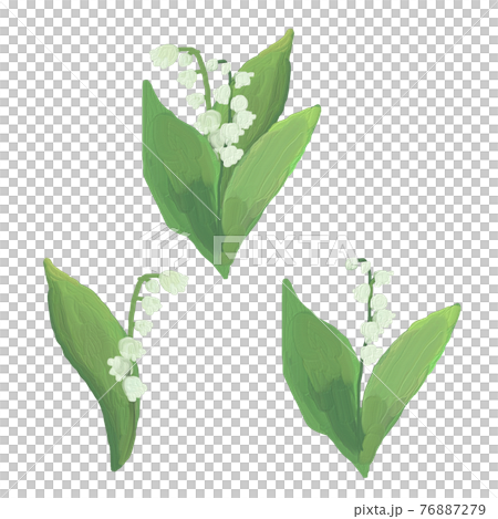 スズラン　手描き 76887279