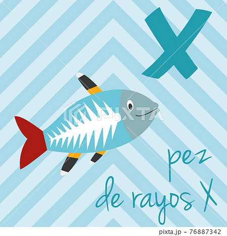 Cute cartoon zoo illustrated alphabet with funny animals. Spanish alphabet: X for Pez de Rayos X. Learn to read. Isolated Vector illustration. Cute cartoon zoo illustrated alphabet with funny animals. Spanish alphabet: X for Pez de Rayos X. Learn to read. Isolated Vector illustration. 76887342