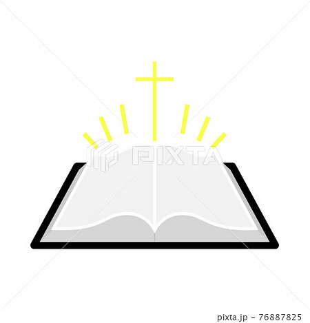 Holly Bible Icon 76887825