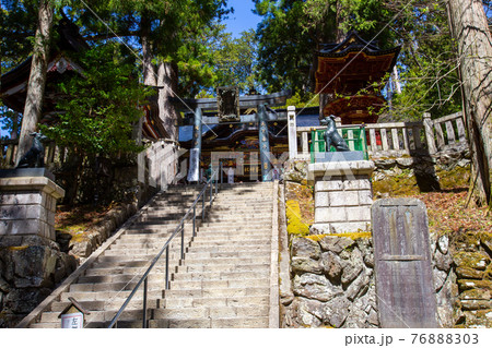 三峯神社拝殿下の青銅鳥居 三峯神社拝殿下の青銅鳥居 76888303