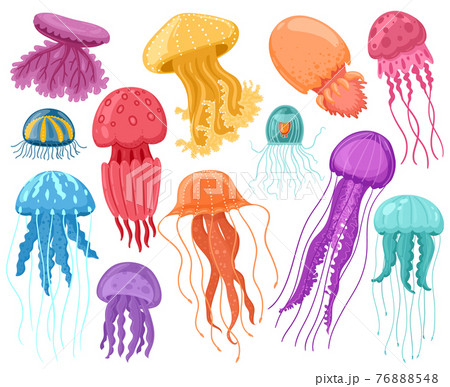 Cartoon ocean jellyfish. Marine underwater jellyfish, ocean sea transparent creatures vector isolated illustration set. Cute jellyfish animals 76888548