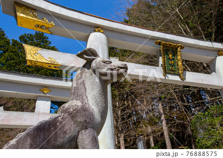 三ツ鳥居の狼 三ツ鳥居の狼 76888575