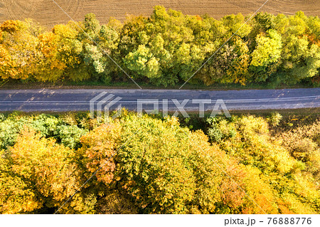 Aerial view of empty road between yellow fall trees. Aerial view of empty road between yellow fall trees. 76888776