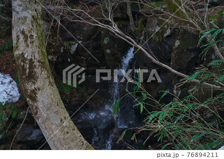 《岡山県》冬の季節、高清水トレイルの風景 《岡山県》冬の季節、高清水トレイルの風景 76894211