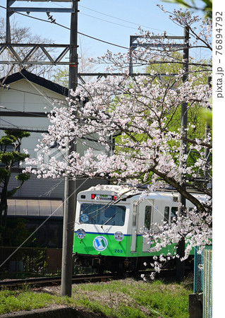 三重県四日市市　四日市あすなろう鉄道　桜満開2 76894792