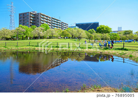 若葉に新緑　水面に映える景観　尾久の原公園　園児 76895005