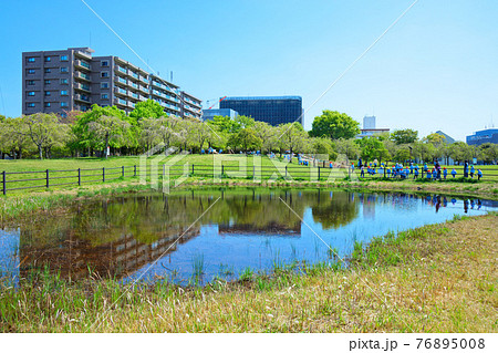 若葉に新緑 水面に映える景観 尾久の原公園 園児 若葉に新緑 水面に映える景観 尾久の原公園 園児 76895008
