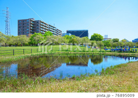 若葉に新緑 水面に映える景観 尾久の原公園 園児 若葉に新緑 水面に映える景観 尾久の原公園 園児 76895009