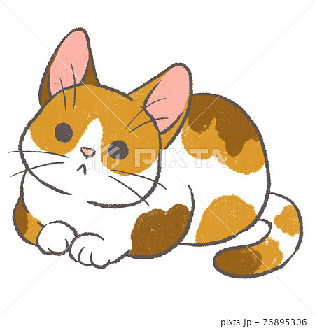 体を丸めて少し見上げる三毛猫のイラストのイラスト素材