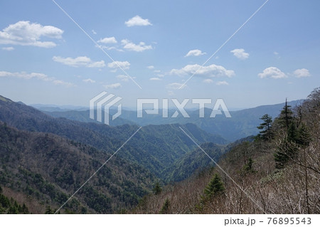 初夏の遙かな山並み 76895543