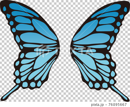 蝶の羽 カラー素材のイラスト素材