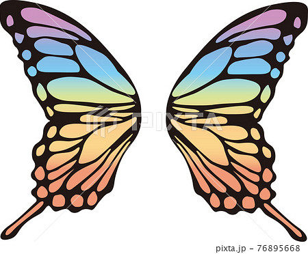 蝶の羽 カラー素材のイラスト素材 [76895668] - PIXTA