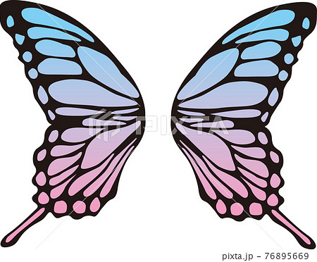 蝶の羽 カラー素材のイラスト素材 [76895669] - PIXTA