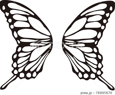 蝶の羽のデザイン画 - 置物