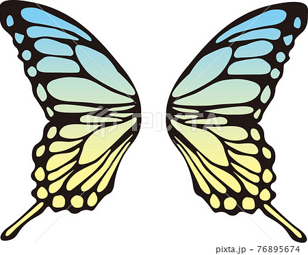 蝶の羽 カラー素材のイラスト素材